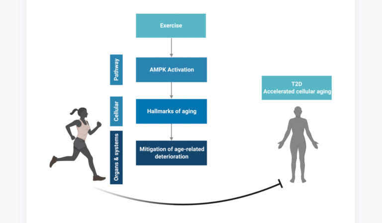 Figure 4. Conceptual overview. Created in BioRender