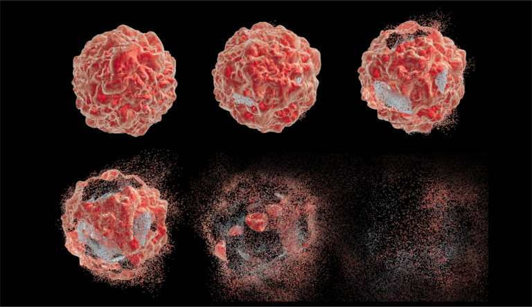 Cell apoptosis