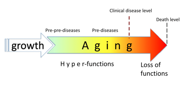 Figure 1. Relationship between aging and diseases. When growth is completed, growth-promoting pathways increase cellular and systemic functions and thus drive aging. This is a pre-pre-disease stage, slowly progressing to a pre-disease stage. Eventually, alterations reach clinical disease definition, associated with organ damage, loss of functions (functional decline), rapid deterioration and death.
