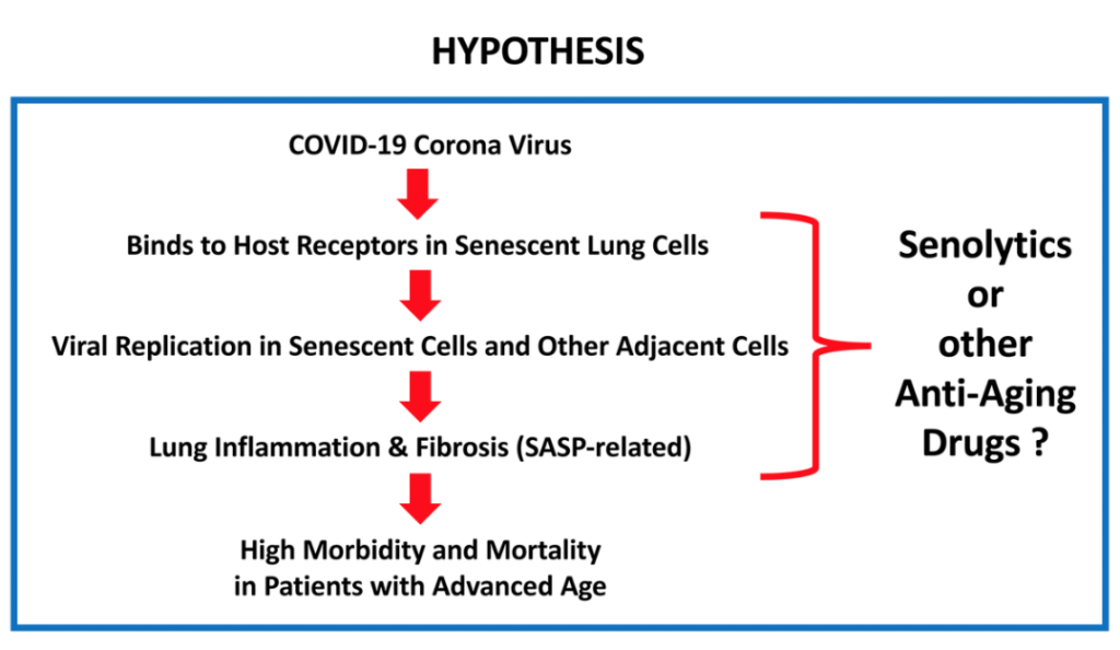 Figure 1. What is the relationship between COVID-19 and advanced chronological age?