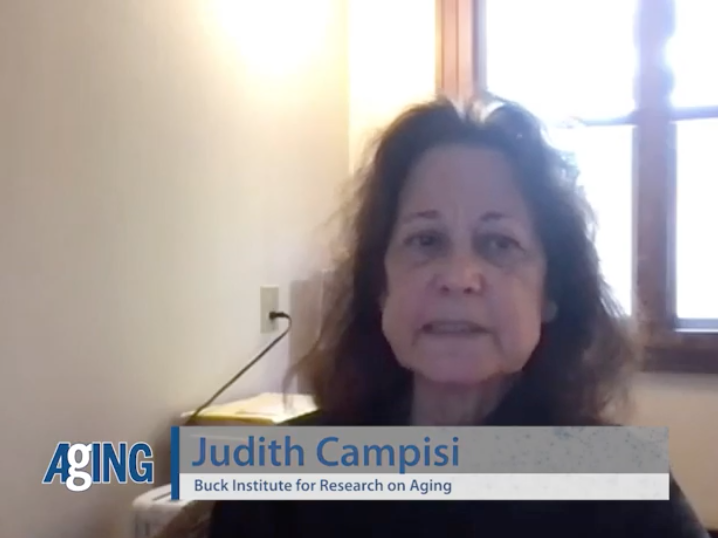 Dr. Judith Campisi