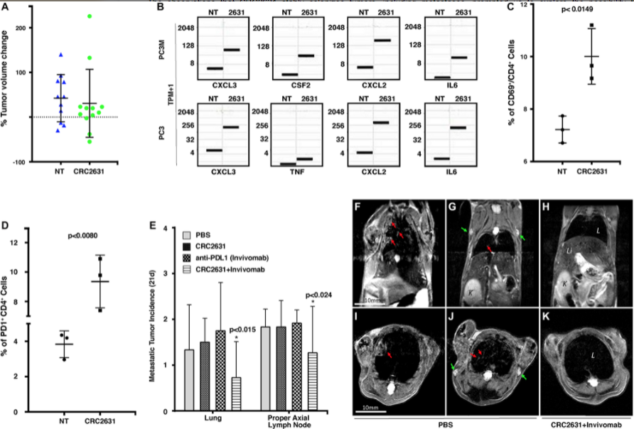 Figure 5: CRC2631/PD1 blockade combination treatment reduces metastatic burden.