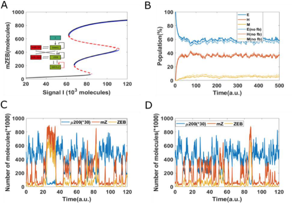 Figure 4: Epigenetic feedback on GRHL2 self-activation.