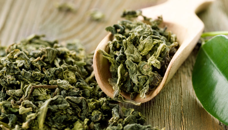 High quality green tea leaves