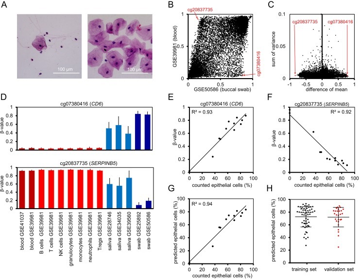 Figure 2. Prediction of the cellular composition in mouth swab samples