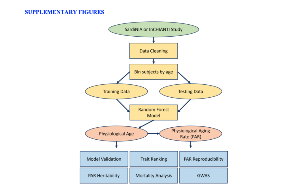 Supplementary Figure 1. Computational workflow for measuring physiological age and physiological aging rates (PAR) using the machine learning framework.