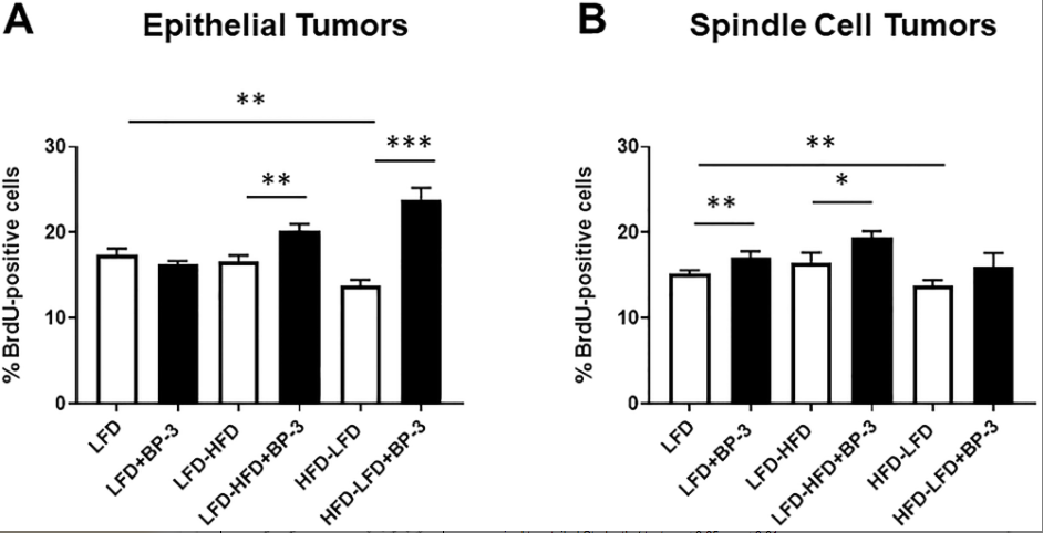 Figure 5: BP-3 treatment increased tumor proliferation in a manner dependent on both diet and histological type.