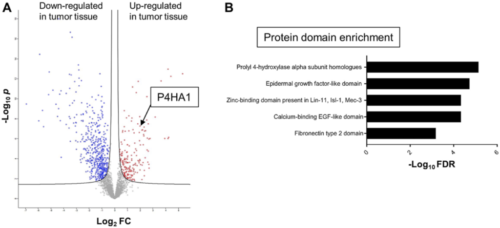 Figure 1: Mass spectrometric proteomics of CRC and global protein domain enrichment analysis.