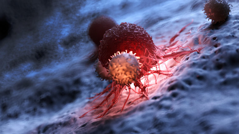 3d rendered medically accurate illustration of white blood cells attacking a cancer cell