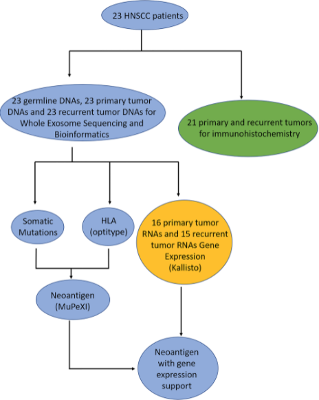 Figure 1: Flowchart of patient samples