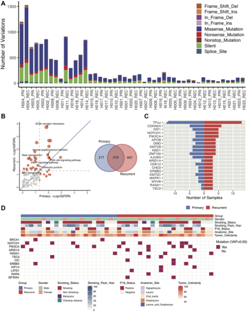 Figure 2: Characterization of DNA sequences of primary and recurrent/metastatic tumors. 