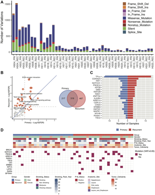 Figure 2: Characterization of DNA sequences of primary and recurrent/metastatic tumors.