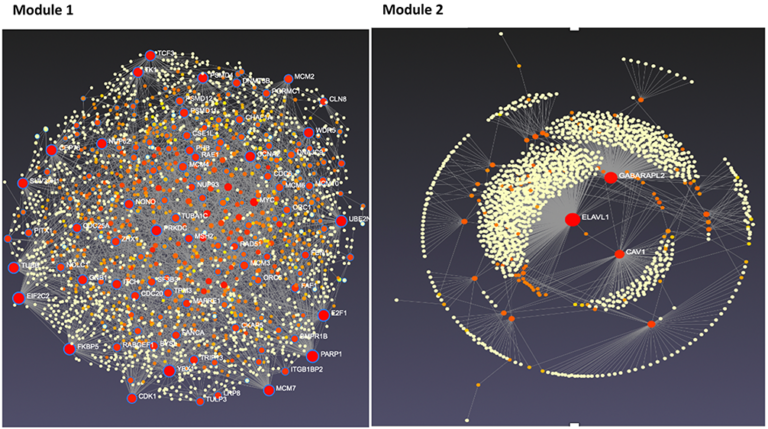 Figure 4- Tissue-specific protein-protein interaction network for modules 1 and 2 candidate genes