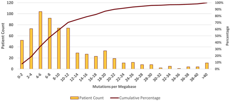 Tumor mutational burden in lung cancer