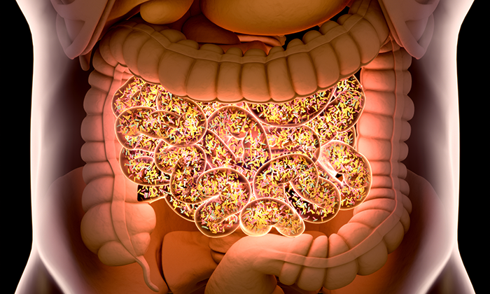 Immunotherapy Response Predicted by Machine Learning & Gut Microbiomes