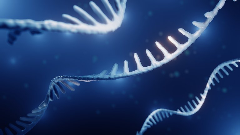 microRNAs, miRNAs, RNA illustration