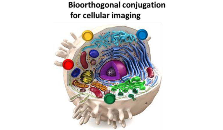 A New Method of Targeting Exosomes in Precision Medicine