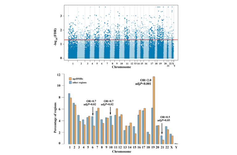 Figure 3. Chromosomal distribution of human sperm ageDMRs