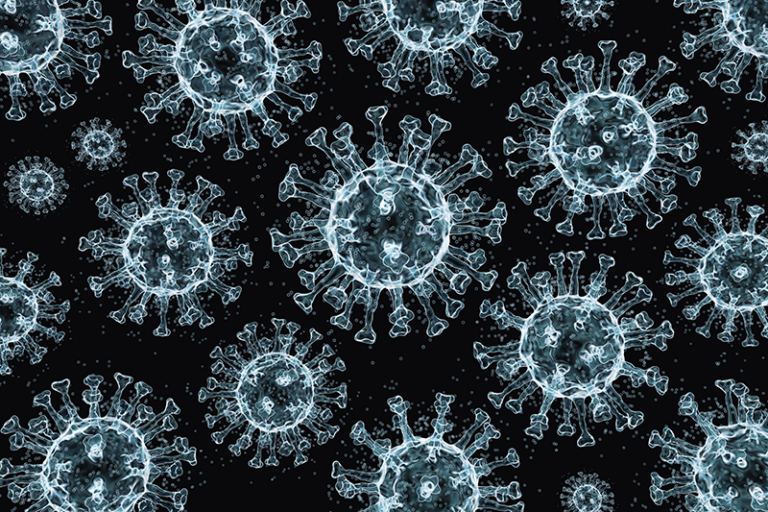 In a new study, researchers investigated the mortality and respiration rates of RNA virus-infected male fruit flies and how aging impacts these outcomes and measurements.