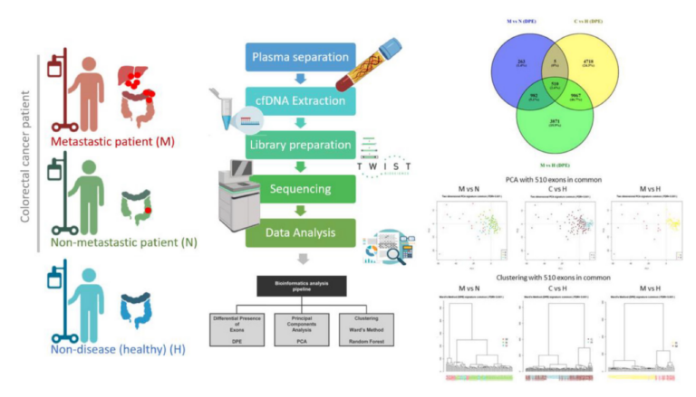 Figure 1: Schematic workflow of the experimental procedure.