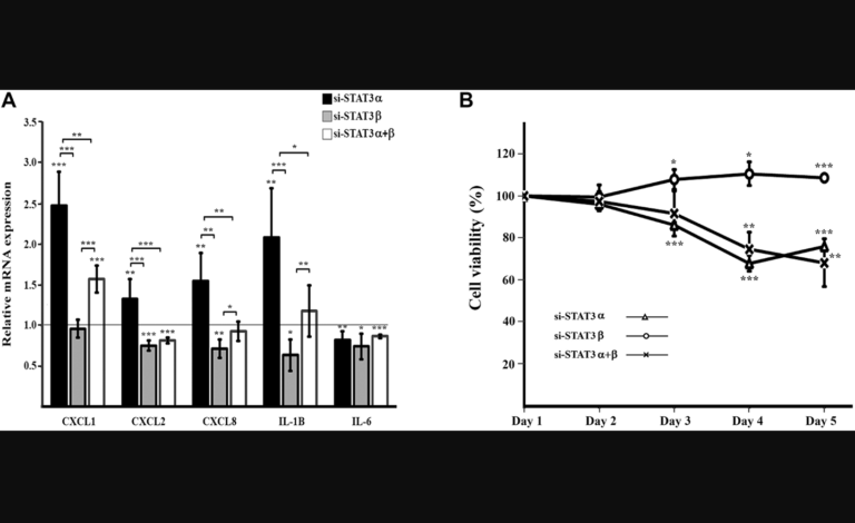 Figure 3: Cytokine expression and cell viability upon mRNA silencing of STAT3 isoforms