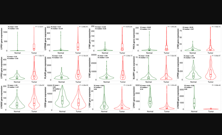 Figure 2: Comparison of human LY6 gene expression in normal uterine tissue (n = 146) to expression in uterine corpus endometrial carcinoma (n = 547).