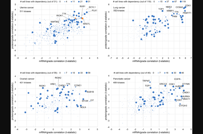 Figure 3: Combined analysis of kinase expression in tumors with cell line dependency to identify new gene targets. therapeutic targeting