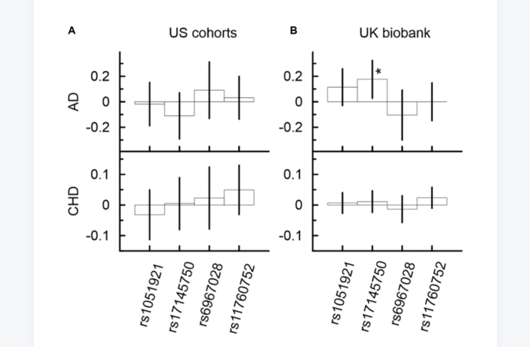 Figure 2. Univariate associations of minor alleles of four SNPs from the MLXIPL gene with AD and CHD in two samples drawn from US cohorts (A) and UK biobank (B).
