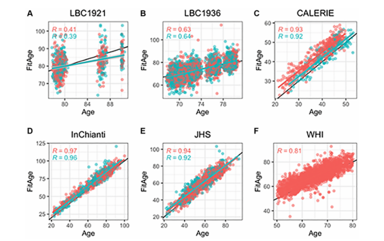 Figure 2. Scatterplots of DNAmFitAge versus age separated by sex.