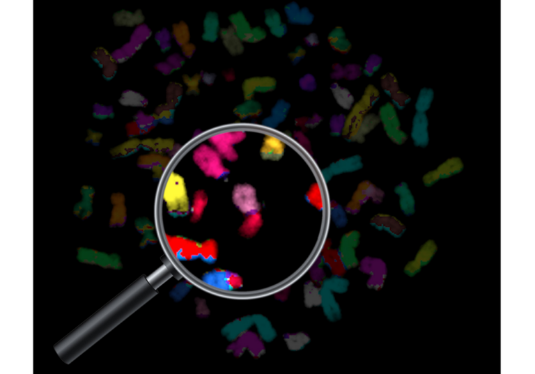 Figure 1: Whole-genome duplication (WGD) occurs in approximately third of human tumors, and is associated with increased chromosomal instability and aneuploidy.