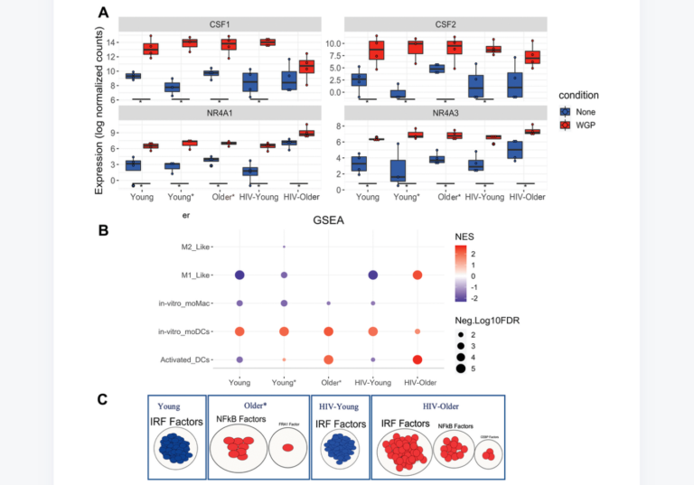 Figure 6. Dectin-1 stimulation leads to distinct signatures of differentiation.