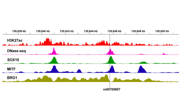 Predicting Functions of Cancer-Associated Genetic Variants