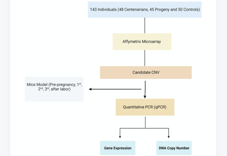 Figure 1. Flowchart of the study. Homolog candidate CNVs and their flanking genes were evaluated among mice during pregnancy using qRT-PCR.