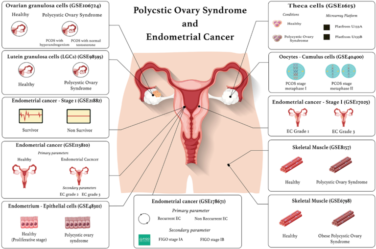 Figure 4: Visual representation of the datasets used in this study on EC and PCOS