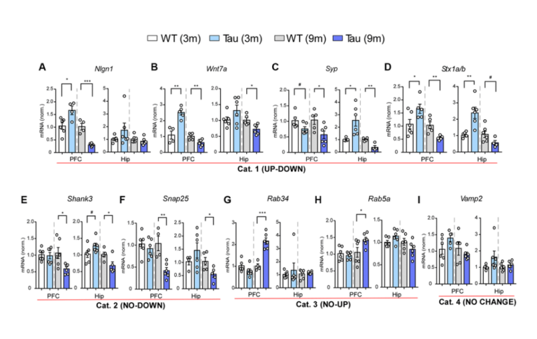 Figure 5. Gene expression profiling revealed various patterns of changes in PFC and hippocampus of P301S mice at different ages. tauopathy