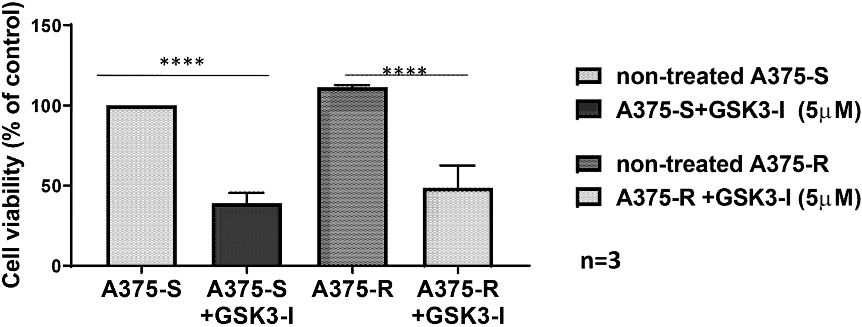 Protein GSK3β Offers New Angle on Overcoming Melanoma Drug Resistance