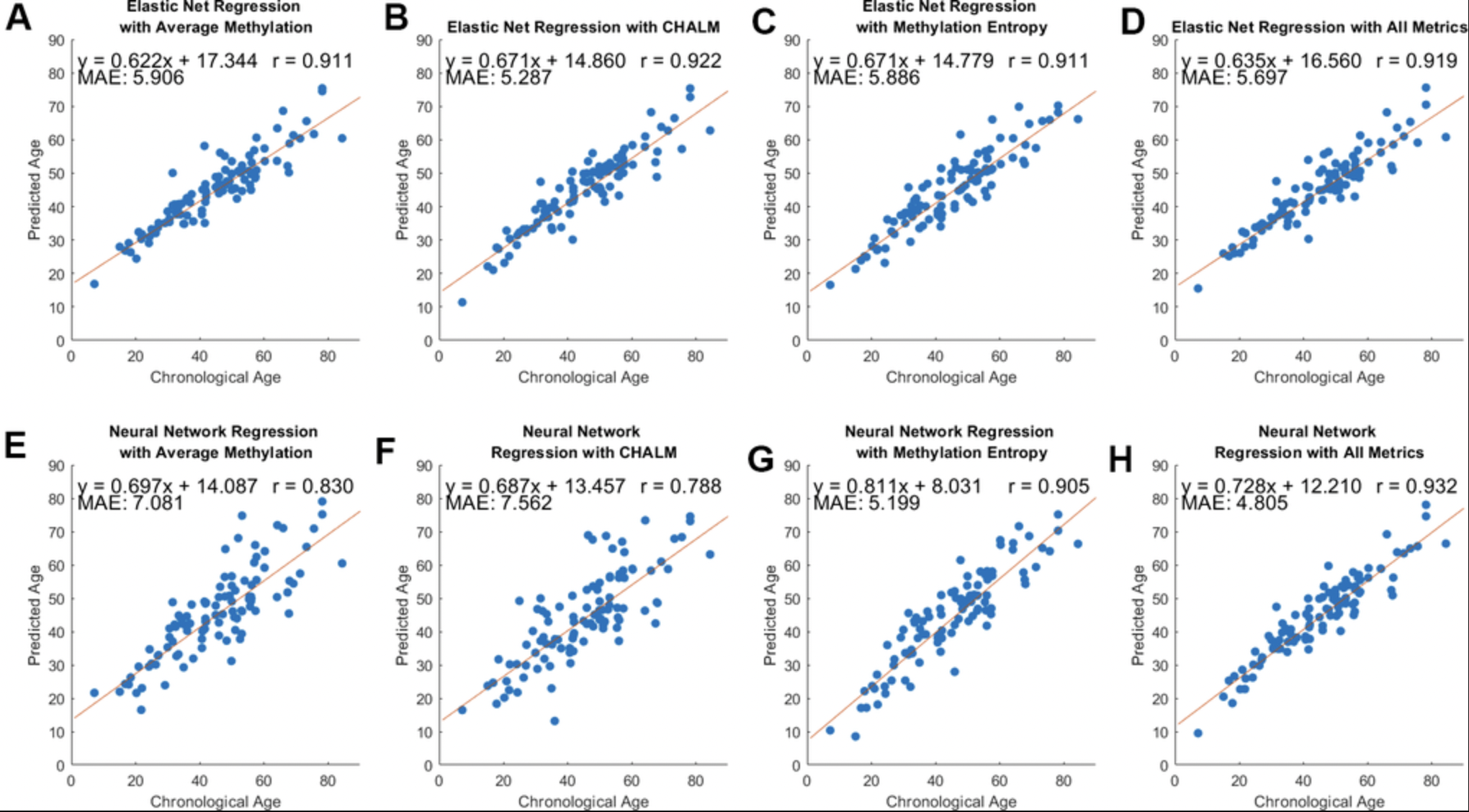 DNA Methylation Entropy: A New Way to Track and Predict Aging