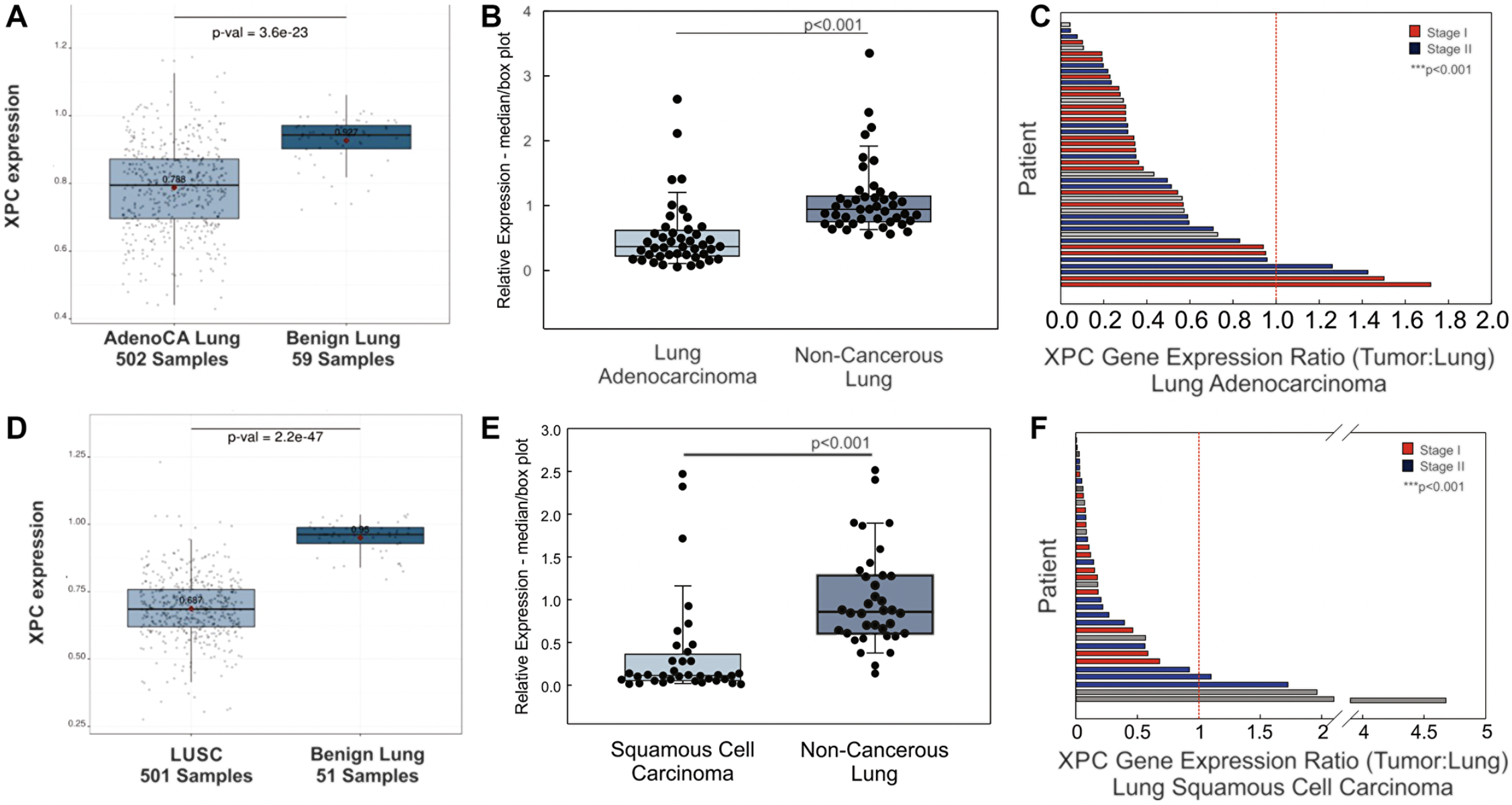Cigarette Smoke and DNA Repair Deficiency Drive Lung Cancer Development