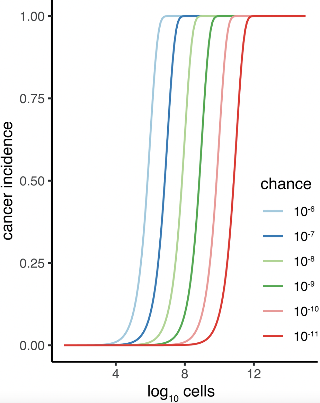 Why Big Animals Do Not Get More Cancer: Revisiting Peto’s Paradox