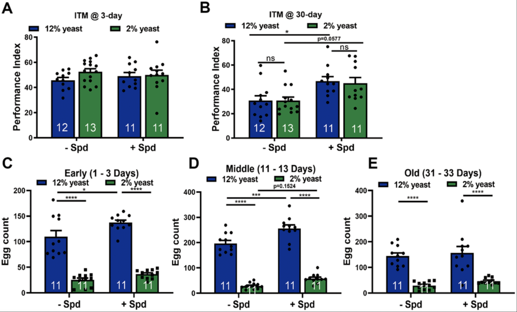 Spermidine and Protein Restriction Independently Protect Brain and Body from Aging in Flies