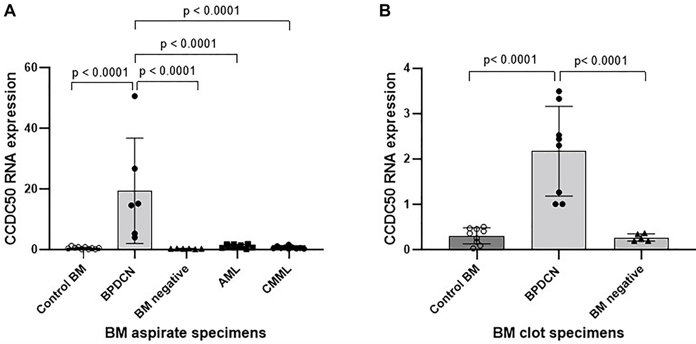 Study Identifies Key Genetic Alterations and Biomarker for Blastic Plasmacytoid Dendritic Cell Neoplasm