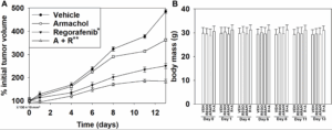 Aramchol Boosts Regorafenib Effectiveness in Gastrointestinal Tumors