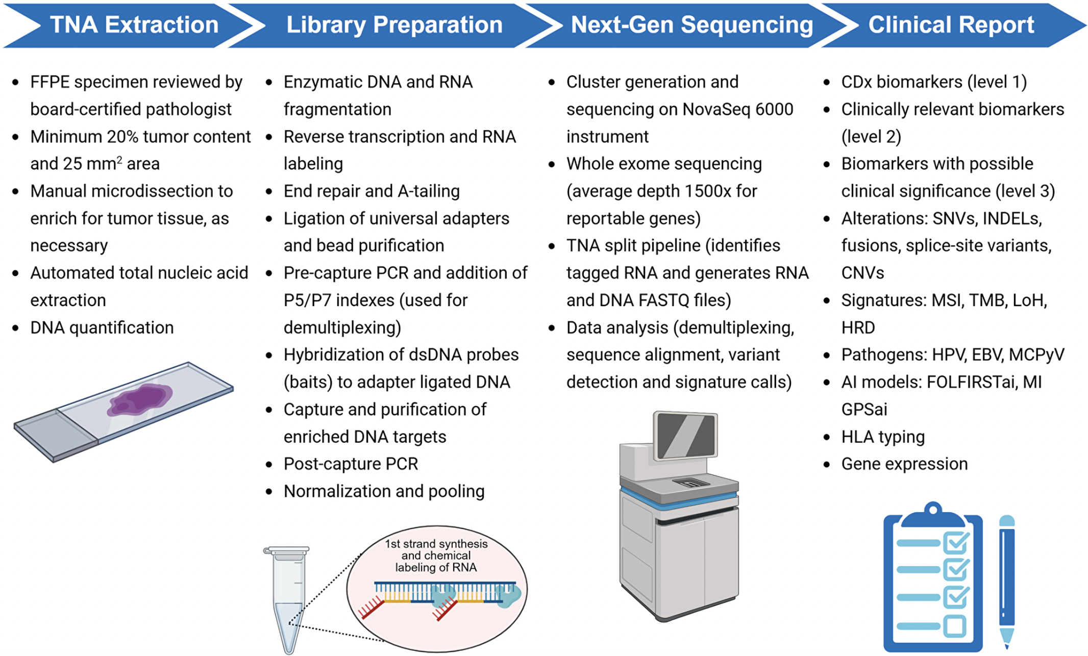 FDA-Approved MI Cancer Seek Test Enhances Tumor Profiling for Precision Oncology