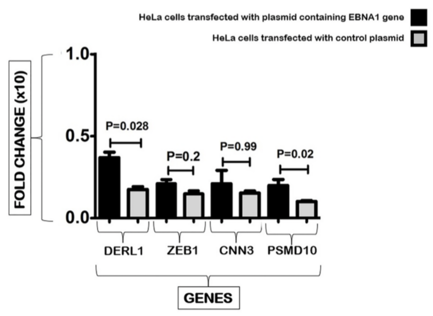 Epstein-Barr Virus Protein EBNA1 Upregulates Oncogenes in Cervical Cancer Cells