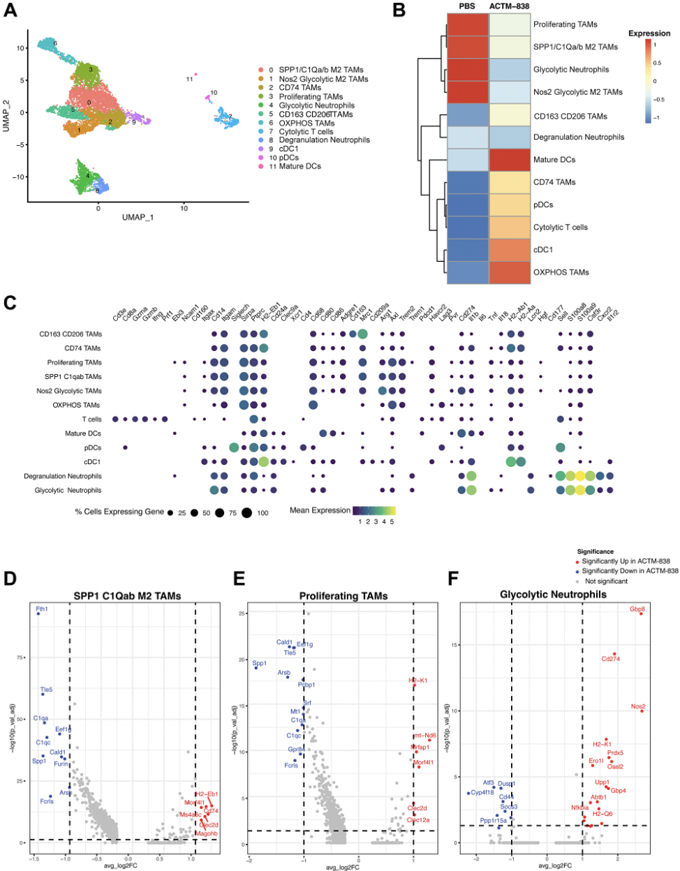 Engineered Bacterial Therapy Activates Immune Response in Cancer Preclinical Studies