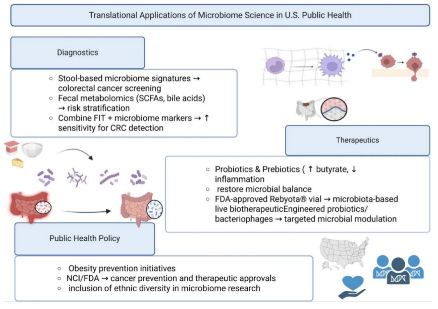 Gut Microbiome Connects Obesity to Cancer, Impacting Public Health