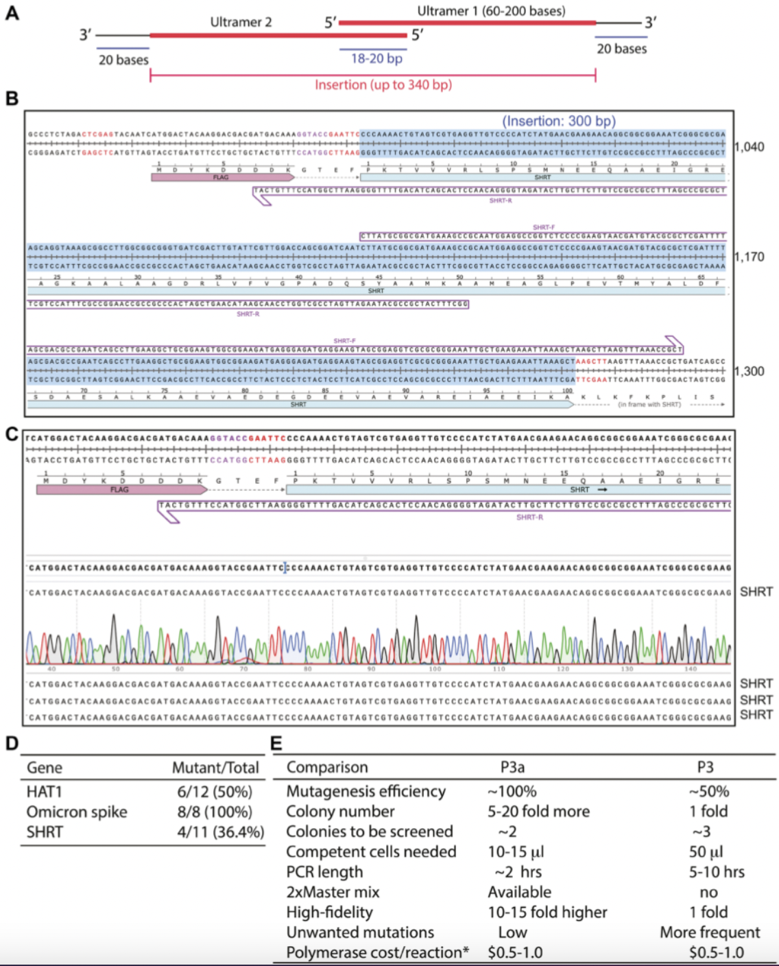New High-Efficiency Gene Editing Method Enhances Speed and Reduces Costs in Biomedical Research