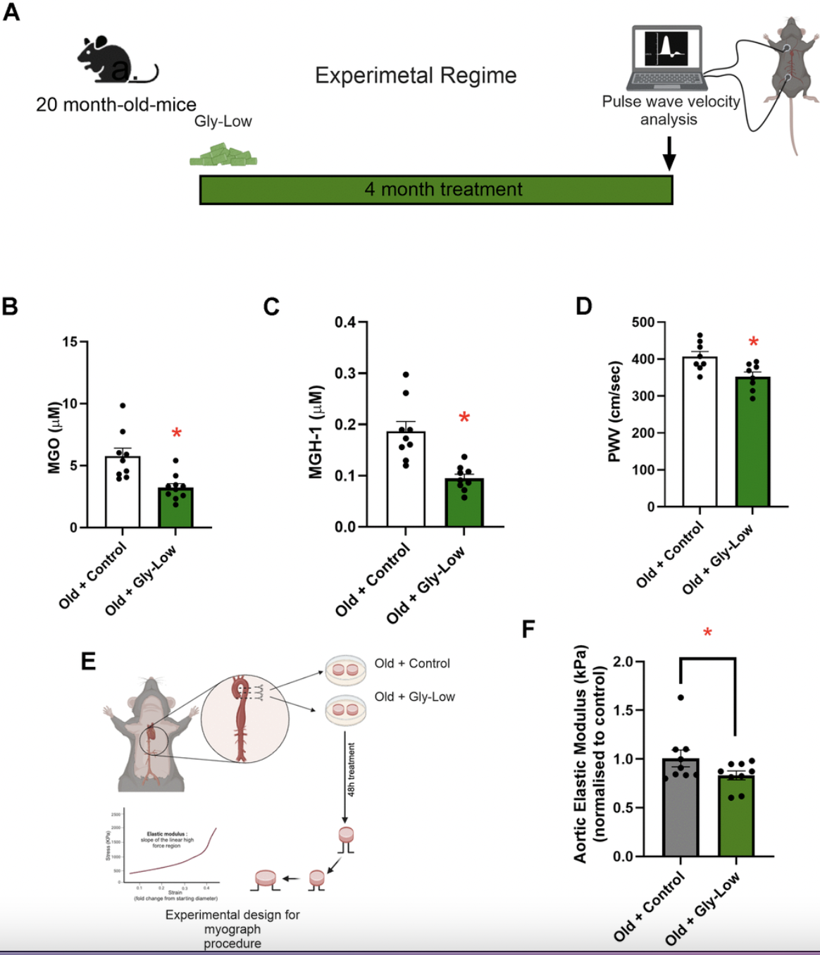 Glycation Stress Promotes Arterial Stiffening and Is Reversed by a Natural Compound in Aging Mice