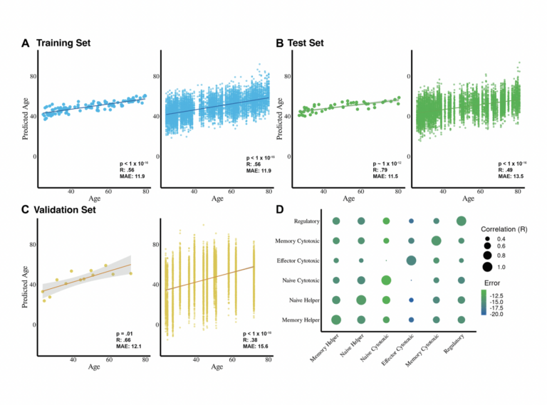 EDITORS’ CHOICE: Single-cell transcriptomics reveal intrinsic and systemic T cell aging in COVID-19 and HIV