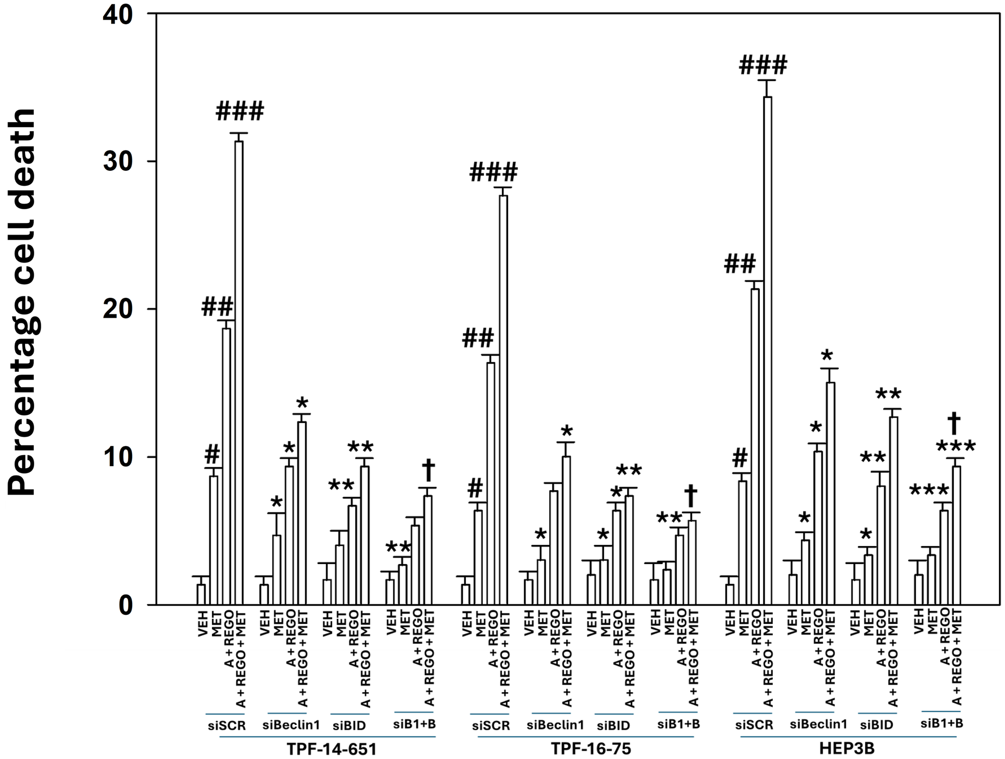 The SCD1 Inhibitor Aramchol, Regorafenib, and Metformin Combine to Kill Uveal Melanoma Cells